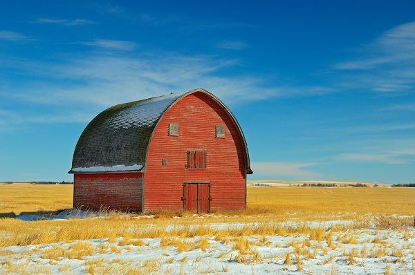 Canada-Alberta-Vulcan Red barn in winter